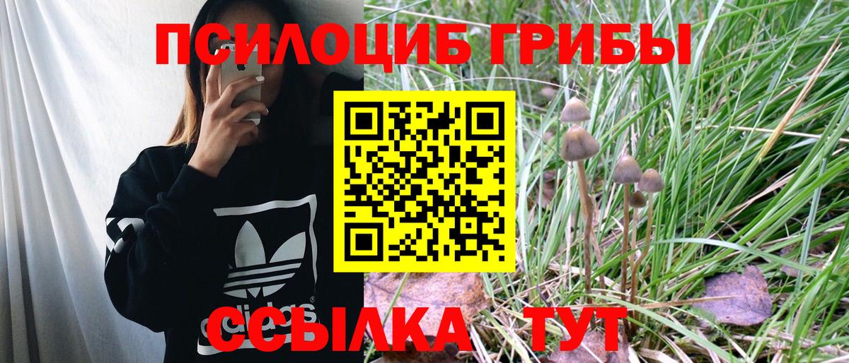 Псилоцибиновые грибы Magic Shrooms Кинешма