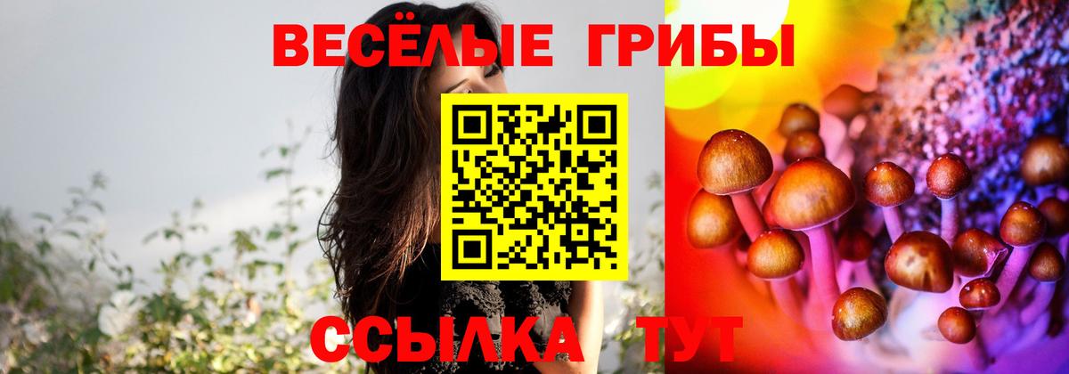 Псилоцибиновые грибы прущие грибы  Галлюциногенные грибы ЛСД  Кинешма  Вход с VPN 