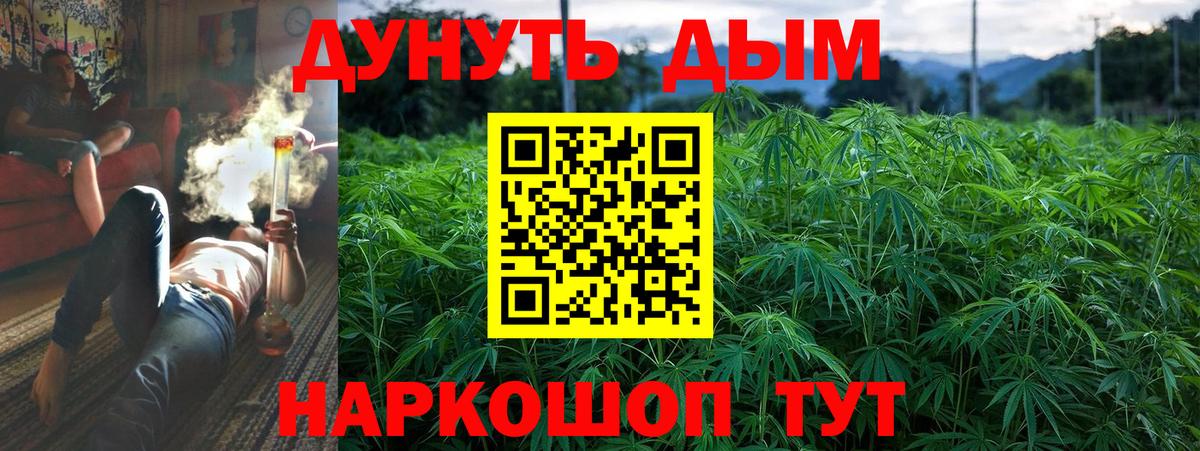 Бошки марихуана план Кинешма